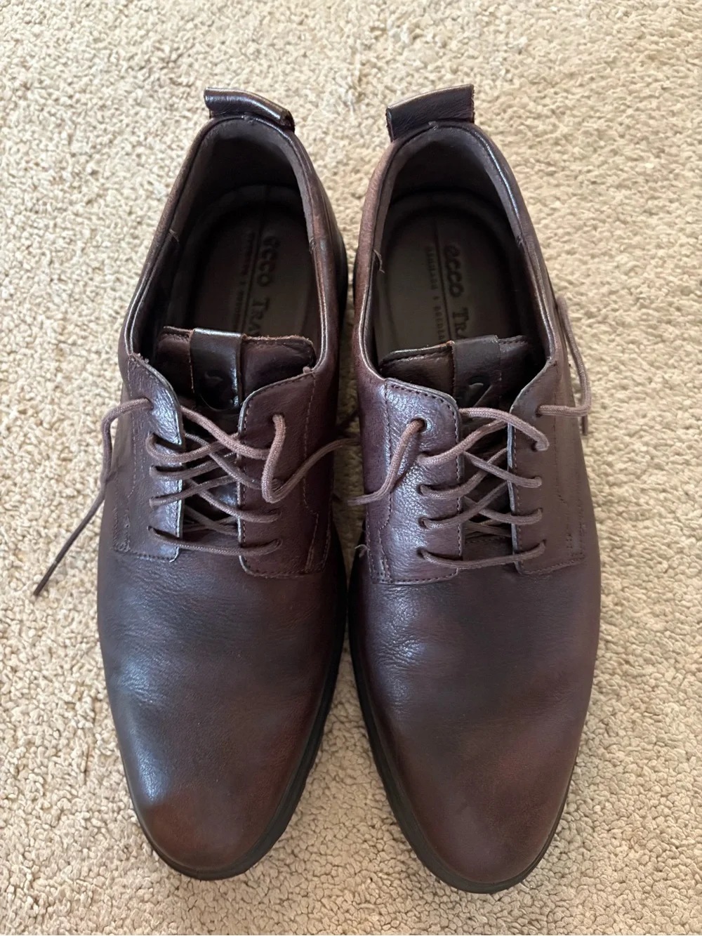 Ecco this pair